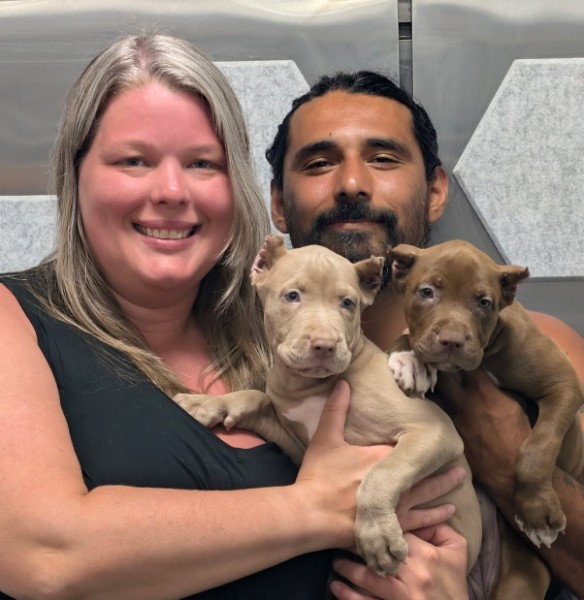 Showtime Bullies customer holding his XL American Bully dog, sharing a positive testimonial about the breeder