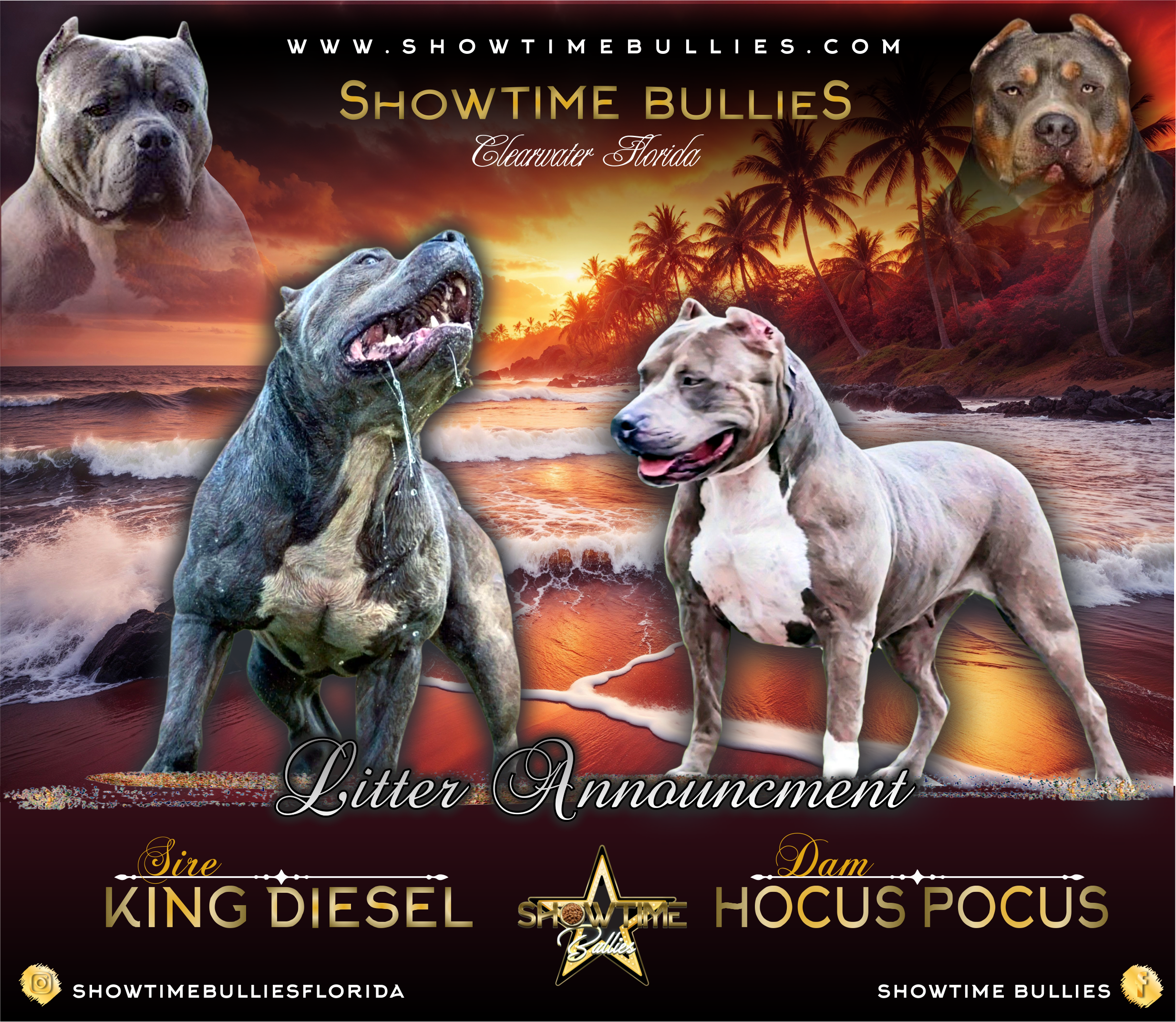 DIESEL X HOCUS POCUS