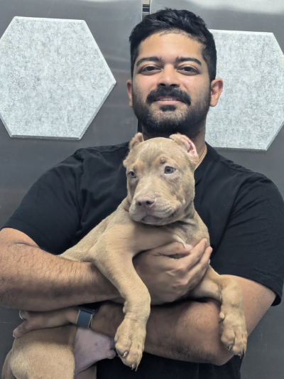 chip_mathew Showtime Bullies customer Chip Mathew holding his XL American Bully puppy Clay after visiting the facility