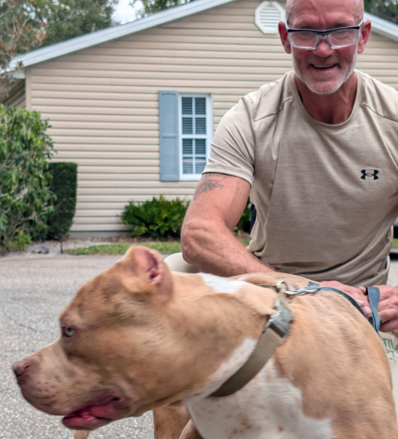 Showtime Bullies customer Jesse Goldrich holding his blue XL American Bully puppy and sharing a positive testimonial